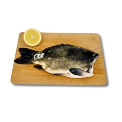 Karp tusza 1000 -1400 g