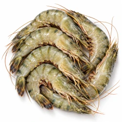 Krewetki surowe całe, w pancerzu z głową 16/20, opakowanie 1 kg
