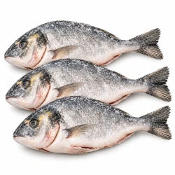 Dorada patroszona 300-400 g, opakowanie 5 kg