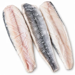 Morszczuk kapski, filet ze skórą, opakowanie 5 kg